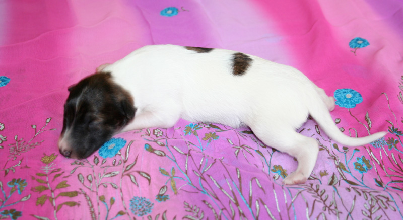 Surf Spots - Girl 1 Left Stretch